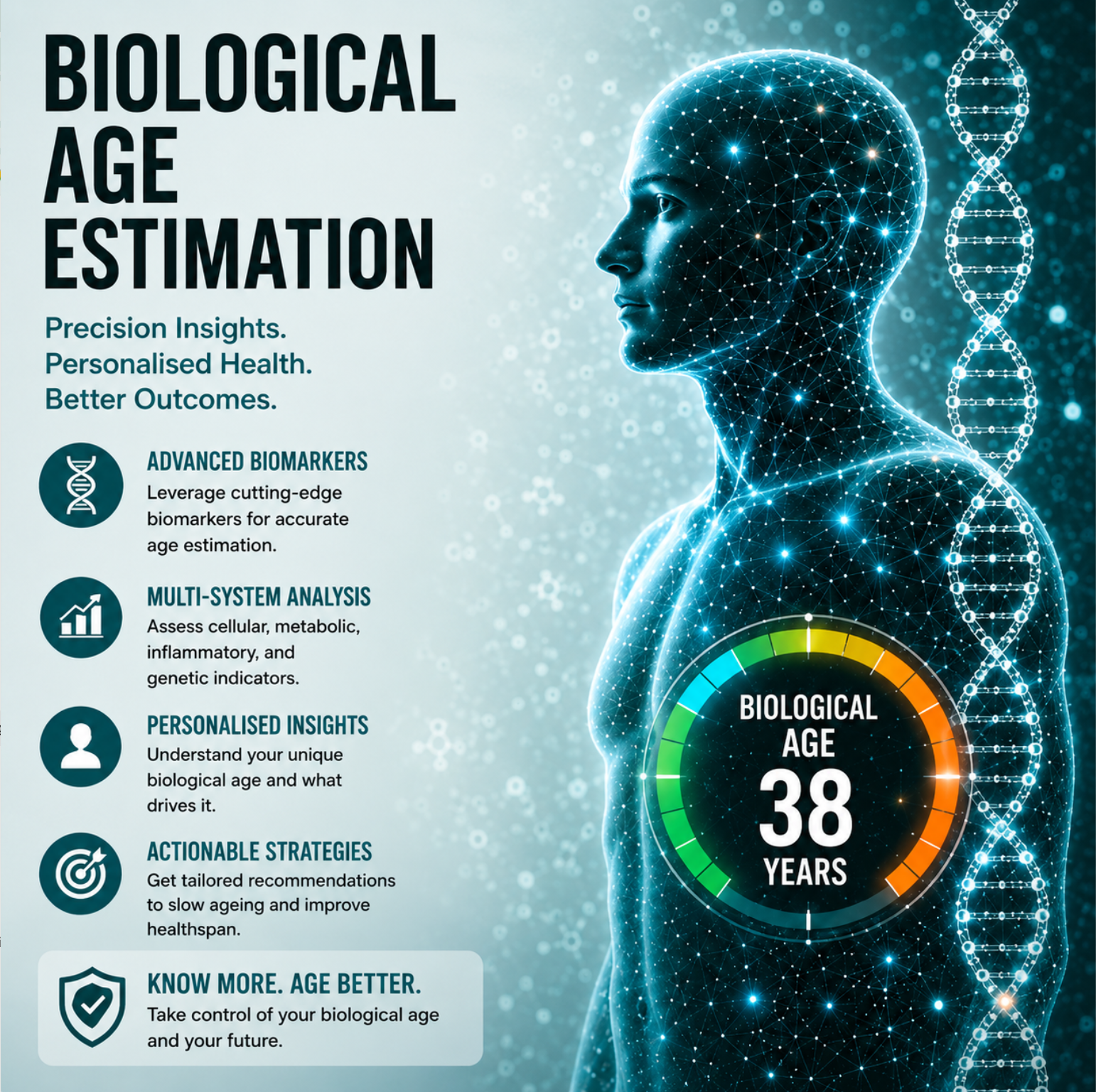 Biological Age Estimation