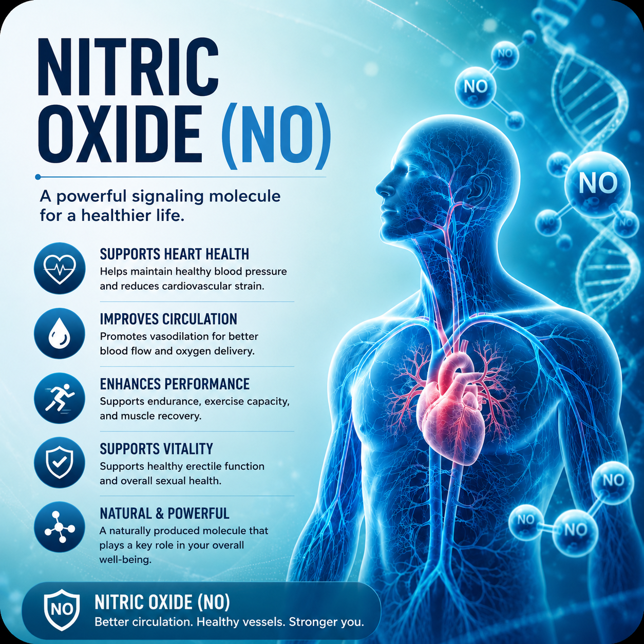 Nitric Oxide (NO) Discovery & Benefits